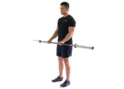 Reverse Grip Curls