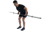 Supinated Grip Row