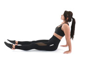 Reverse Plank