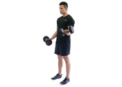 Alternating Bicep Curls