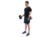 Bicep Curls