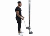 Cable Bicep Curl