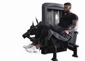 Seated Leg Extensions
