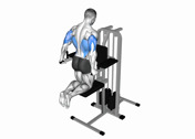 Band Assisted Kneeling Dip