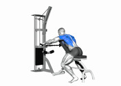 Cable Seated Decline Wide-Grip Row