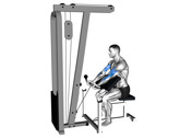 Cable Preacher Curl