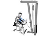 Cable Preacher Reverse Curl