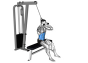 Cable Seated Crunch