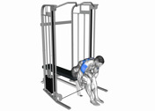 Cable Seated Reverse Fly