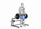 Lever Deadlift