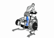 Lever Kneeling Leg Curl