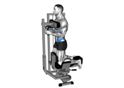Lever Kneeling Twist