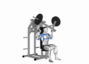 Machine Shoulder Press