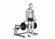 Machine Shrug