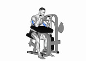 Machine Seated Triceps Extension