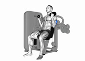 Machine Triceps Extension
