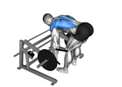 Machine Chest-Supported Row