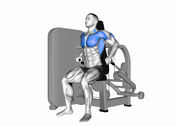 Machine Seated Dip