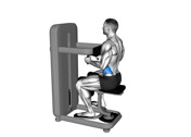 Seated Rotary Torso