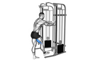 Cable Standing Leg Curl