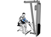 Cable Preacher Hammer Curl