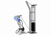 Cable Kneeling Overhead Triceps Extension