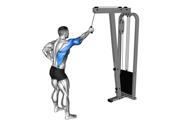 Cable Standing One-Arm Pulldown