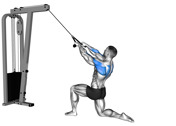 Cable Kneeling Face Pull
