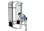 Cable Bent-Over One-Arm Reverse Fly