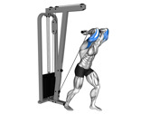 Cable Overhead Triceps Extension