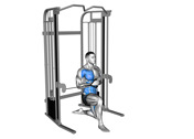 Cable Half-Kneeling Pallof Press