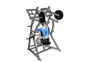 Plate-Loaded Low Row