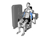 Machine Preacher Curl