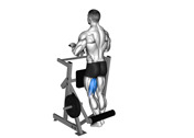 Machine Standing Single-Leg Curl