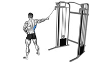 Cable Side Straight-Arm Pulldown