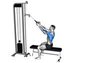 Cable Face Pull