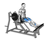 Hack Squat