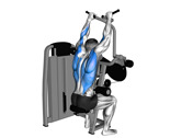 Lever Crossover Lat Pulldown