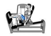 Leverage Seated Single-Leg Press