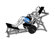 Hip Thrust Machine