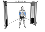 Cable Cross-Body Hammer Curl