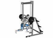 Smith Rear Lunge