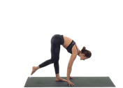 Standing Split